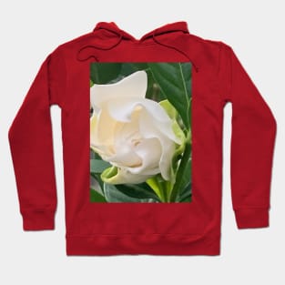 Flower Hoodie